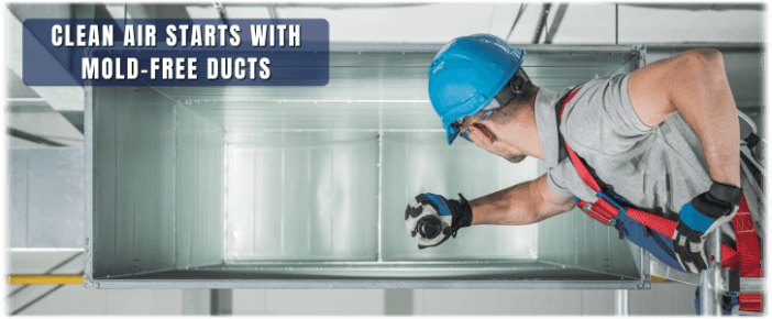 Air Duct Mold Removal in Arlington VA