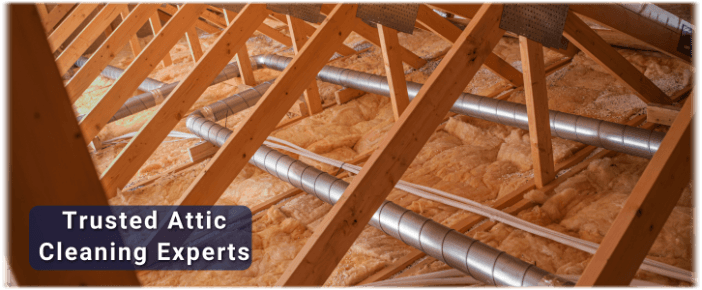 Attic Cleaning Arlington VA