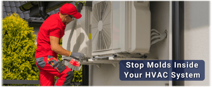 HVAC Mold Removal Arlington VA